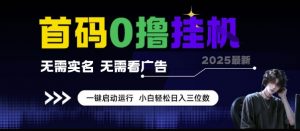 首码0撸挂G项目，无需实名无需看广告 一键启动运行，小白轻松日入三位数【揭秘】-最全资源库