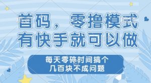首码零撸项目，有快手就可以做，每天业务时间搞个几张不是问题【揭秘】-最全资源库