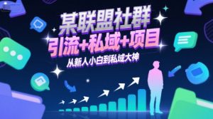 某联盟社群，引流+私域+项目，从新人小白到私域大神-最全资源库