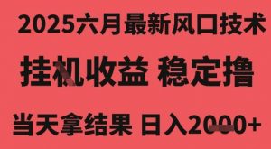 2025六月最新风口技术，无人挂G撸礼物，长期稳定 一个小时收益2k+，小白当天拿结果【揭秘】-最全资源库