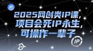2025网创类IP课,项目会死IP永生,可操作一辈子-最全资源库