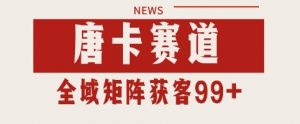 唐卡赛道私域引流获客 自热矩阵SOP日引流99+精准客资【揭秘】-最全资源库
