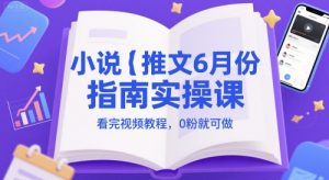 小说推文6月份指南实操课，看完视频教程，0粉就可做-最全资源库