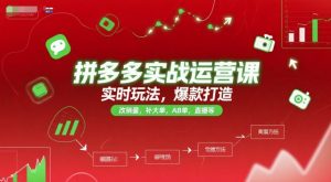拼多多实战运营课,实时玩法,爆款打造,改销量,补大单,AB单,直播等(更新2025月)-最全资源库
