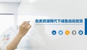 各类资源网代下咸鱼自动发货-最全资源库