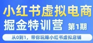 小红书虚拟电商掘金特训营第1期,从0到1,带你玩转小红书虚拟店铺-最全资源库