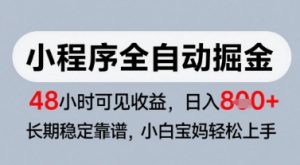 微信小程序全自动掘金,快速见收益,长期稳定靠谱,零基础友好,日入8张【揭秘】-最全资源库