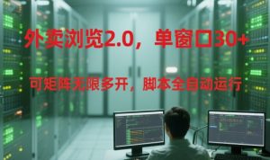 外卖浏览2.0,单窗口30+可矩阵无限多开,脚本全自动运行【揭秘】-最全资源库
