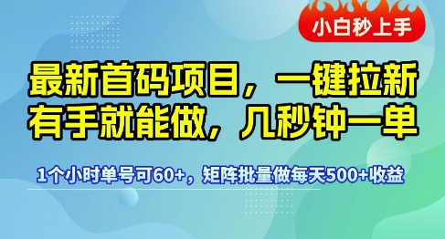 最新首码项目,一键拉新有手就能做,几秒钟一单,1个小时单号可60+,矩阵批量做每天5张【揭秘】-最全资源库