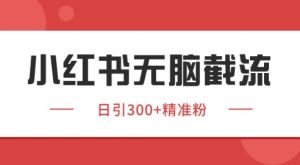 小红书截流同行客源，独家野路子获客玩法 日引200+暴力获客【揭秘】-最全资源库