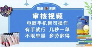 审核视频，电脑手机皆可操作，有手就行，几秒一单，不限单量，多劳多得【揭秘】-最全资源库