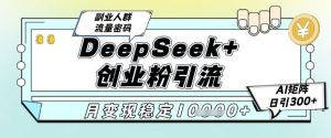 DeepSeek+创业粉精准引流,全新分享课4.0玩法,AI矩阵日引300+,多种变现方式,稳定月入1W-最全资源库