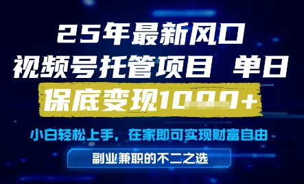 25年最新风口,视频号托管项目,单日保底变现1k+,手把手教学【揭秘】-最全资源库