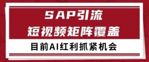 小红书某音sap赛道引流获客 自热矩阵日引200+【揭秘】-最全资源库