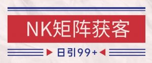 小红书某音NK赛道引流获客 自热矩阵日引200+【揭秘】-最全资源库