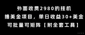 外面收费2980的挂G撸美金项目，单日收益30+美金，可批量可矩阵【揭秘】-最全资源库