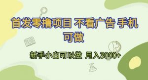 首发零撸项目 不看广告 手机可做 新手小白可以做  月入3k+【揭秘】-最全资源库