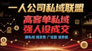 一人公司私域联盟，高客单私域，强人设成交，建私域 搞发售 广结盟 造势能-最全资源库