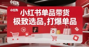 小红书单品带货,极致选品,打爆单品-最全资源库