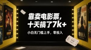 靠卖电影票，十天搞了7k+，小白无门槛上手，零投入【揭秘】-最全资源库
