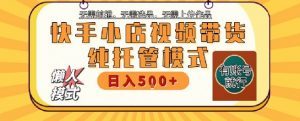 快手小店托管代运营，无需剪辑，无需选品，无需上传作品，全程无需操作，轻松月入5k+【揭秘】-最全资源库