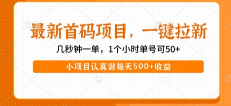 最新首码项目,操作最简单,收益高,一键拉新,1个小时单号可50+,小项目认真做每天5张+收益【揭秘】-最全资源库