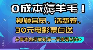 0成本薅羊毛!视频会员、话费卷、30元电影票白送，分享我如何靠转卖一天变现5张+【揭秘】-最全资源库