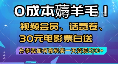 0成本薅羊毛!视频会员、话费卷、30元电影票白送，分享我如何靠转卖一天变现5张+【揭秘】-最全资源库