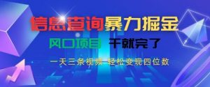 信息查询暴力掘金，一天三条视频，轻松变现四位数，风口项目干就完了【揭秘】-最全资源库