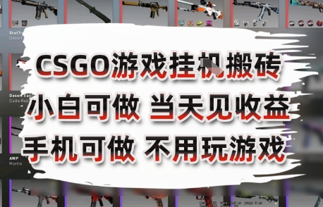CSGO游戏挂G搬砖,小白纯手机即可操作,不用电脑打游戏,日入3张+,副业网创项目【揭秘】-最全资源库