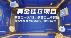 美金挂G项目,单窗口一天12,多窗口上不封顶,官方免费插件自动运行,对小白友好【揭秘】-最全资源库