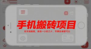手机搬砖项目,有手就能做,亲测一小时几十,苹果安卓都可以-最全资源库