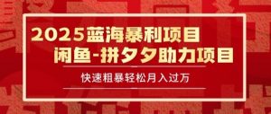 2025 最新闲鱼蓝海暴利项目 快速粗暴让你月入过1W不是梦，保姆级教程【揭秘】-最全资源库