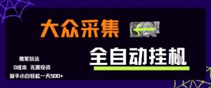 大众采集全自动玩法,新手小白轻松一天5张+,操作简单零成本【揭秘】-最全资源库