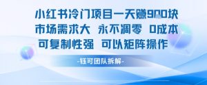 小红书冷门项目一天收益9张，市场需求大，0成本，可复制性强可以矩阵操作-最全资源库
