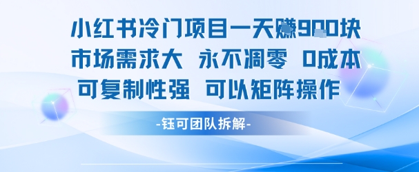 小红书冷门项目一天收益9张，市场需求大，0成本，可复制性强可以矩阵操作-最全资源库