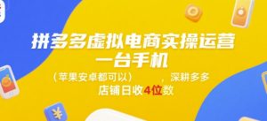 拼多多虚拟电商实操运营,一台手机(苹果安卓都可以),深耕多多店铺日收4位数-最全资源库