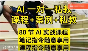 AI指令实战课，课程+案例，80节AI实战课程，笔记指令随意享用，课程指令随意享用（更新7月）-最全资源库