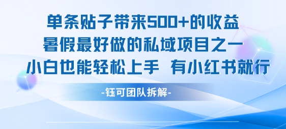 单条贴子带来5张的收益，暑假最好做的私域项目之一，小白也能轻松上手，有小红书就行-最全资源库