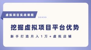 抓住虚拟项目各平台优势，新手轻松月入1W+(给出具体建议)-最全资源库