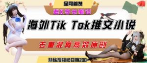 海外tiktok小说推文暴力项目，高停留率，高转化率，上手后一天搞顿饭钱不是问题-最全资源库