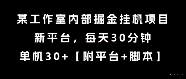 某工作室内部掘金挂G项目,新平台,每天30分钟,单机30+【揭秘】-最全资源库