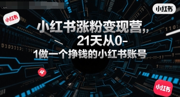 小红书涨粉变现营,21天从0-1做一个挣钱的小红书账号-最全资源库