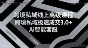 跨境私域线上高级课程，跨境私域极速成交3.0+Ai智能客服-最全资源库