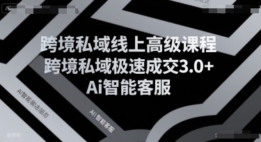 跨境私域线上高级课程，跨境私域极速成交3.0+Ai智能客服-最全资源库