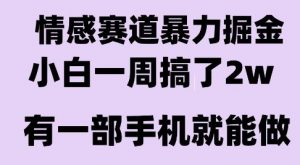情感暴力掘金项目，新人操作一周挣了2W，长期稳定小白可做【揭秘】-最全资源库