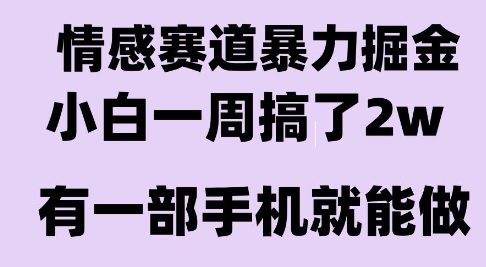 情感暴力掘金项目，新人操作一周挣了2W，长期稳定小白可做【揭秘】-最全资源库