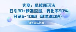 实测私域新玩法日引30加精准流量转化率50%日销5-10单每笔3张-最全资源库