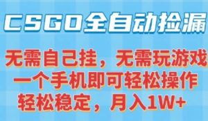 CSGO自动捡漏项目，最新独家玩法，一个手机可操作，新手小白轻松月入1W+，操作简单易上手【揭秘】-最全资源库