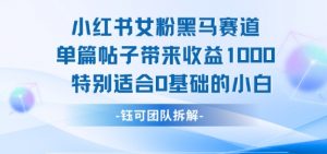 小红书女粉黑马赛道单篇帖子带来收益1k+，特别适合0基础的小白-最全资源库